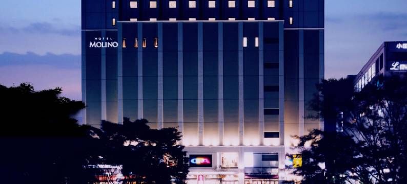 莫利诺新百合丘酒店(Hotel Molino Shin Yuri)图片