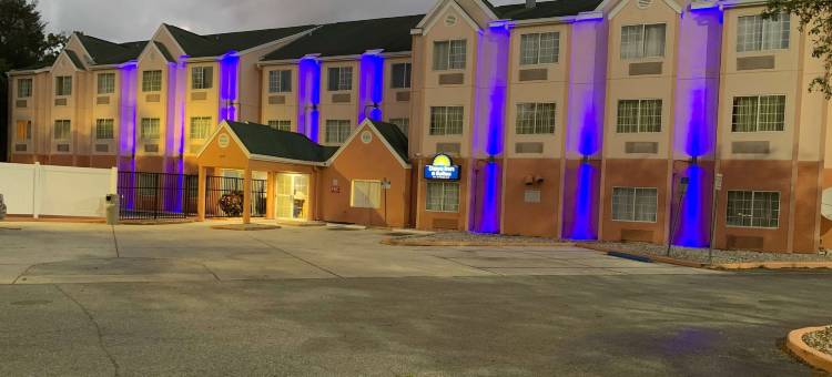 坦帕雷蒙德詹姆斯体育场温德姆戴斯套房酒店(Days Inn & Suites by Wyndham Tampa / Raymond James Stadium)图片