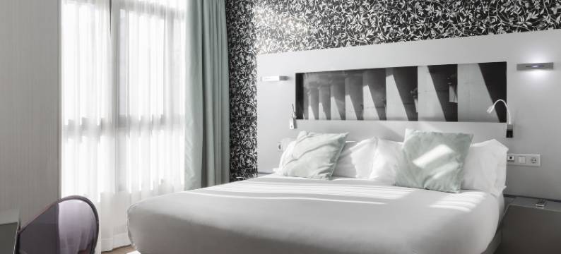 珀蒂宫广场市长酒店(Petit Palace Plaza Mayor)图片