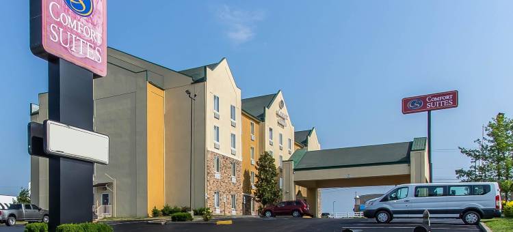 里奇蒙舒适套房酒店(Comfort Suites)图片