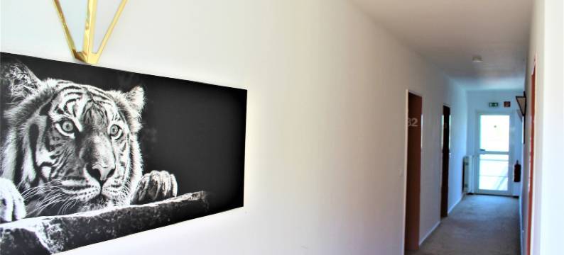 阿尔斯塔奎乐酒店(Hotel Alsterquelle 24h Check-in, Free Parking and WiFi)图片