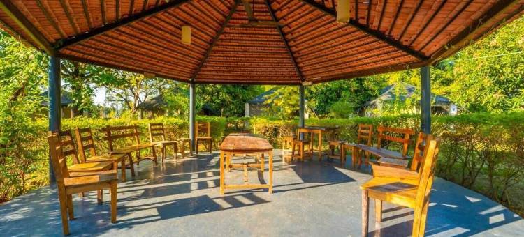 塔杜巴赛来泰格露营酒店(Camp Serai Tiger Tadoba)图片