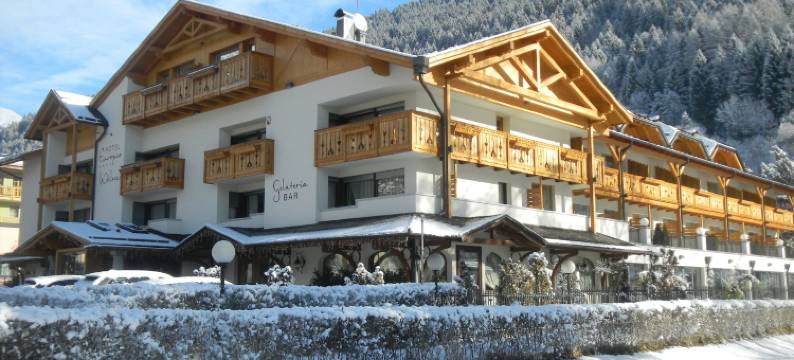 欧洲高山魅力养生酒店(Hotel Europeo Alpine Charme & Wellness)图片
