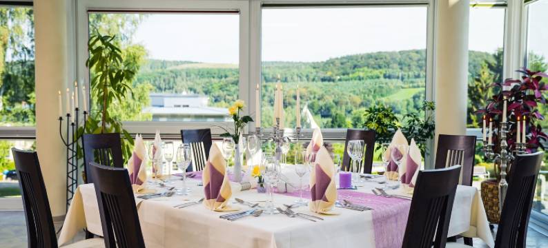 八德施乐马库尔酒店(Kurhotel Bad Schlema)图片