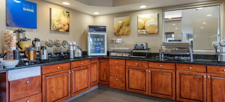 迪蒙代尔舒适套房酒店(Comfort Inn & Suites Dimondale - Lansing)图片