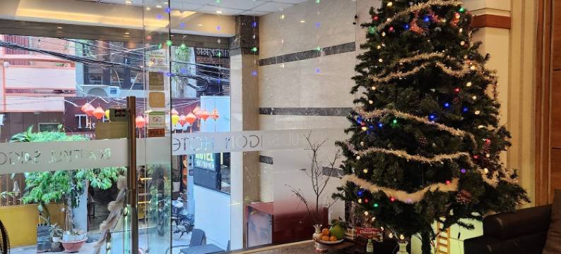 美丽西贡酒店(Beautiful Saigon Hotel)图片