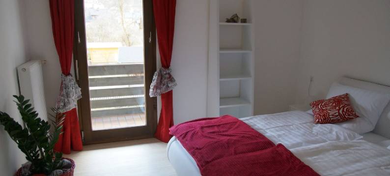 哈尔施塔特1号W&S行政公寓(W & S Executive Apartments - Hallstatt I)图片
