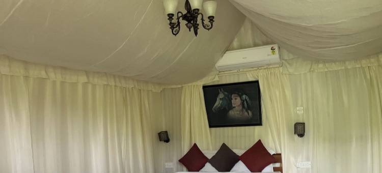 荒野丛林营地(Wilderness Jungle Camp)图片