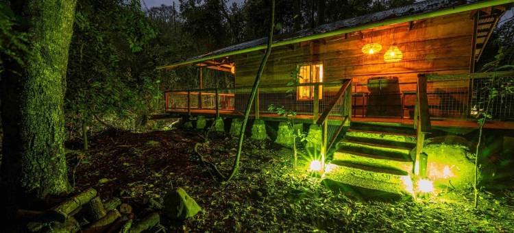 马图米小径森林旅馆(Matumi Trail Forest Lodges - Matumi and Mitzeeri)图片