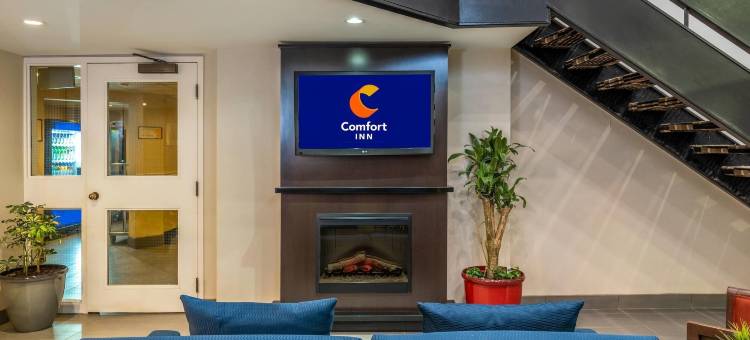 机场舒适酒店(Comfort Inn Airport)图片