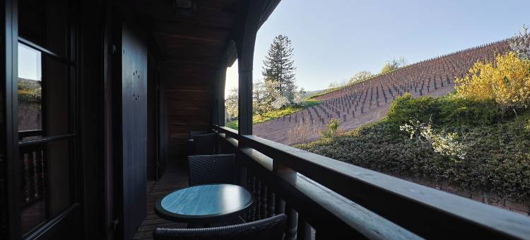 阿诺德酒店(Hôtel Arnold)图片