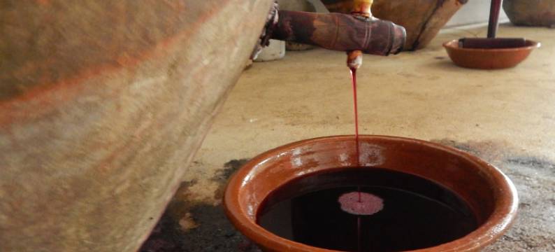 拉托艾拉斯农家乐(Quinta Das Ratoeiras)图片