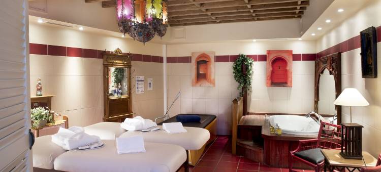 金狮温泉酒店(Hotel et Spa le Lion d'Or)图片