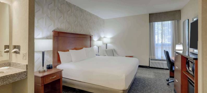 夏洛特大学德鲁里套房酒店(Drury Inn & Suites Charlotte University Place)图片