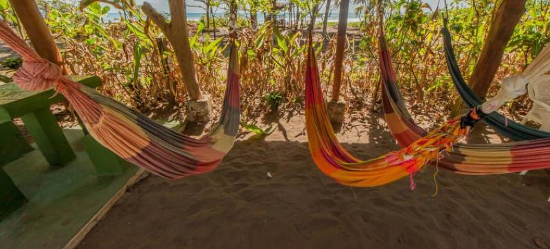 3 月阳台托尔图格罗小屋酒店(Cabinas Balcon del Mar Tortuguero)图片