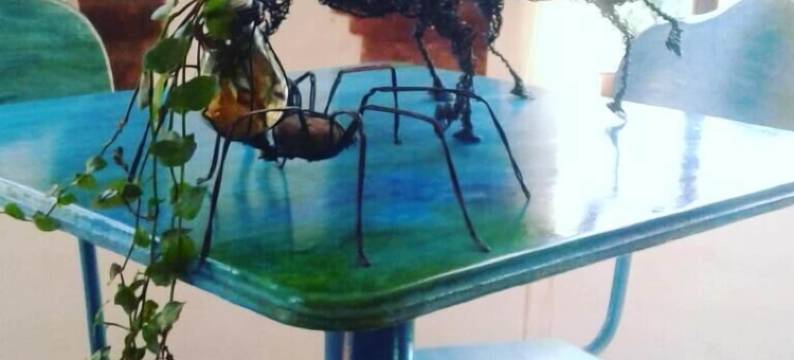 小城堡酒店(El Castillito de Juan)图片