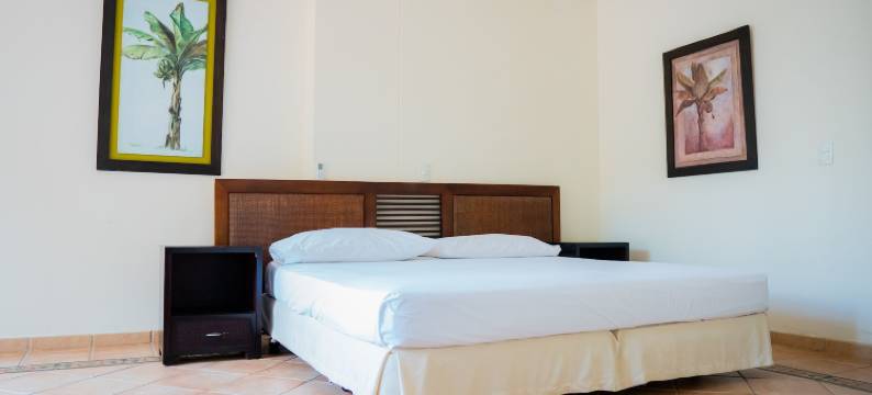 潘诺恩套房酒店(Hotel Penon Suites)图片