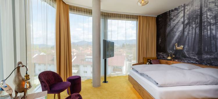 mightyTwice酒店阿绅(MightyTwice Hotel Achern)图片