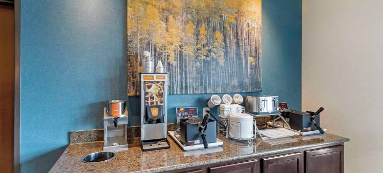 布赖顿丹佛东北医疗中心舒适套房酒店(Comfort Inn & Suites Brighton Denver NE Medical Center)图片