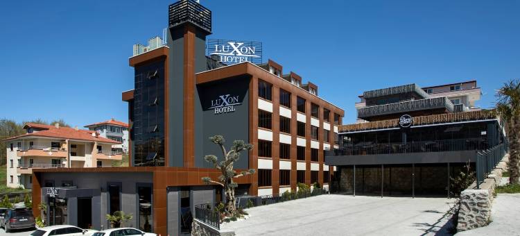 萨卡里亚卢克索酒店(Luxon Hotel Sakarya)图片