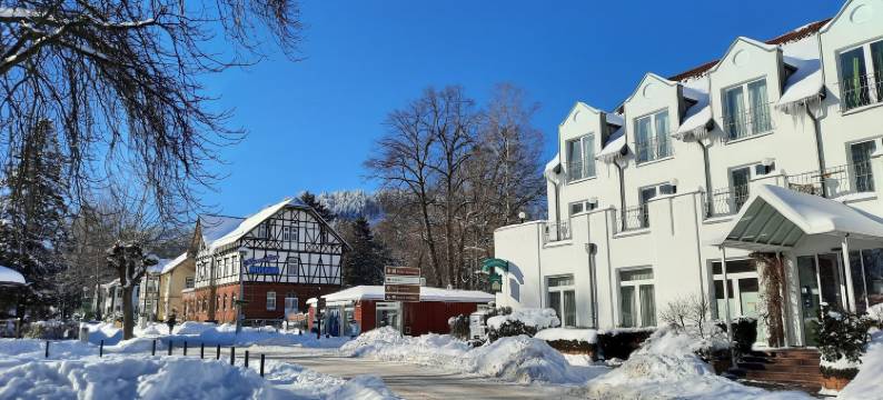 泽尔波斯特阿肯森特酒店(Akzent Hotel Zur Post)图片