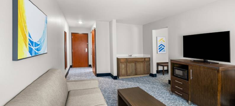 阿什维尔-伍德芬洲际智选假日酒店(Holiday Inn Express ASHEVILLE - WOODFIN by IHG)图片