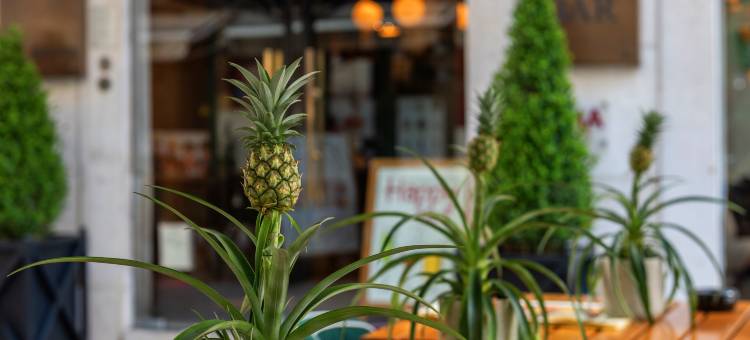 布朗精品酒店(Brown's Boutique Hotel)图片