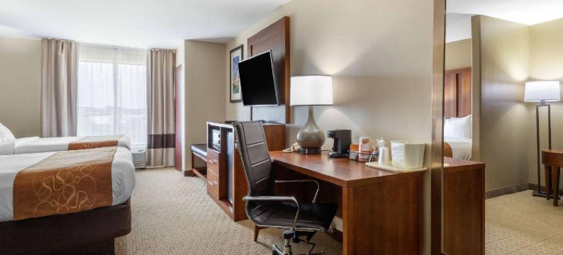 舒适套房酒店-普弗拉热维尔奥斯汀北(Comfort Suites Pflugerville - Austin North)图片