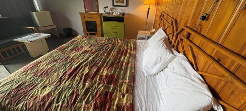 丽沃伊哲汽车旅馆(Motel Le Voyageur)图片