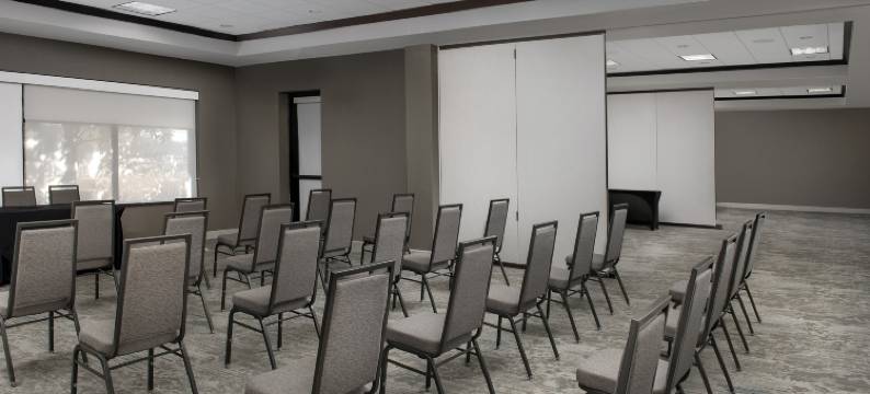 达拉斯邓肯维尔希尔顿花园酒店(Hilton Garden Inn Dallas/Duncanville)图片