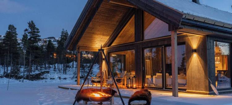 豪华度假屋，滑雪，桑拿，远程办公(Luxury Holiday Home, Skiing, Sauna, Remote Office)图片