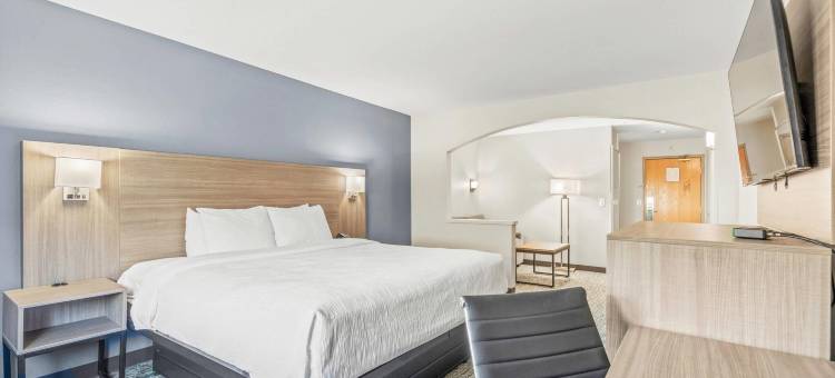 河畔凯艺套房酒店(Quality Inn & Suites on the River)图片