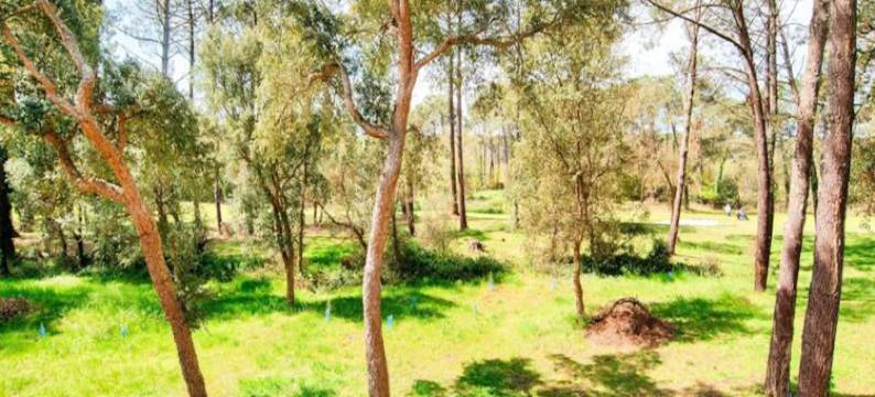 2 Room Apartment for 5 People图片