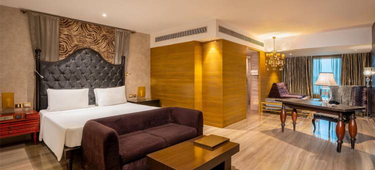 卢迪亚纳丽笙酒店(Radisson Blu Hotel MBD Ludhiana)图片