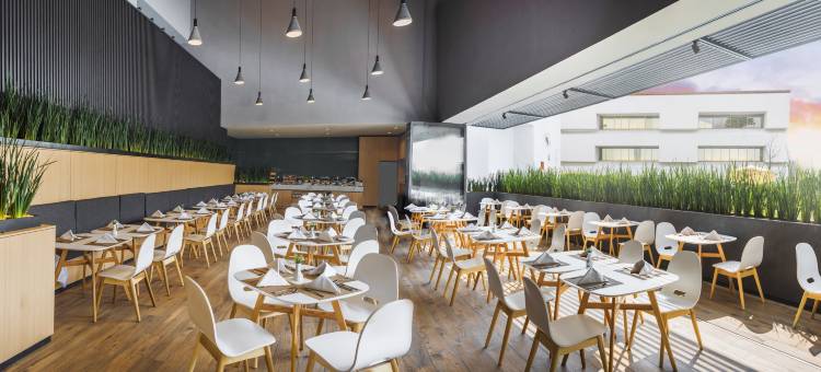 Holiday Inn 莫雷利亚(Holiday Inn MORELIA by IHG)图片