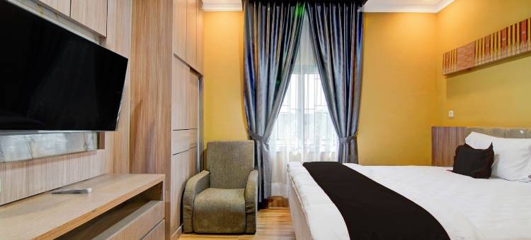 Collection O 94762 星光(Collection O 94762 Starlight)图片