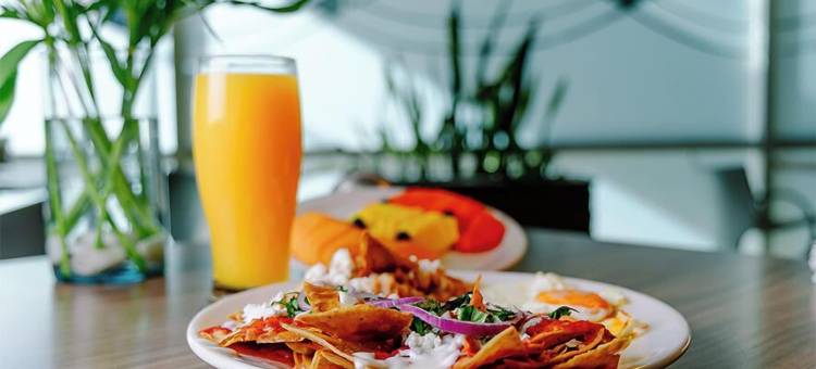 卡萨套房酒店(Kasa Hotel & Suites)图片