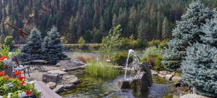 河岸贝斯特韦斯特优质酒店(Best Western Lodge at Rivers Edge)图片