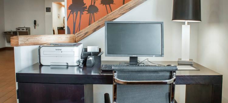 芒特普林森查尔斯顿舒眠酒店(Sleep Inn Mt. Pleasant - Charleston)图片