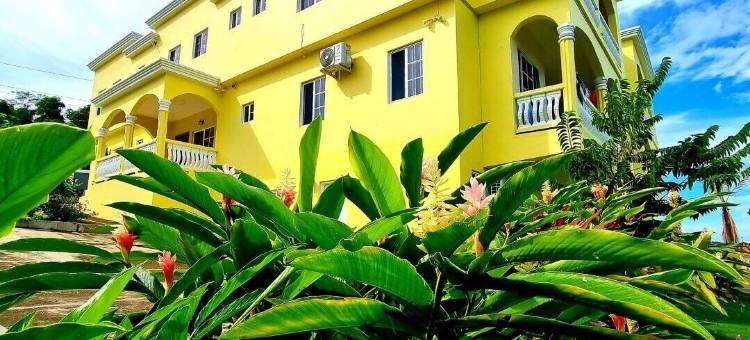 海边的金鸟旅馆(Kingsbird by the sea Inn)图片