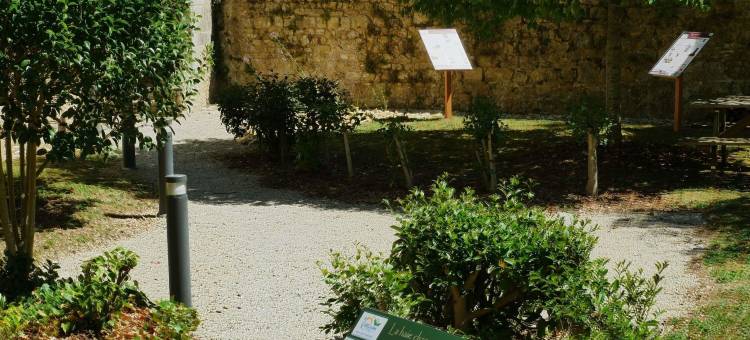 阿德吉奥阿克瑟斯普瓦捷酒店(Aparthotel Adagio Access Poitiers)图片