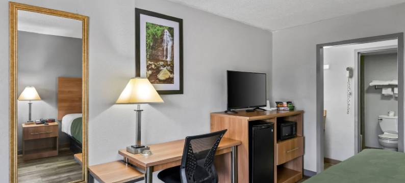 品质酒店南博林格林(Quality Inn)图片