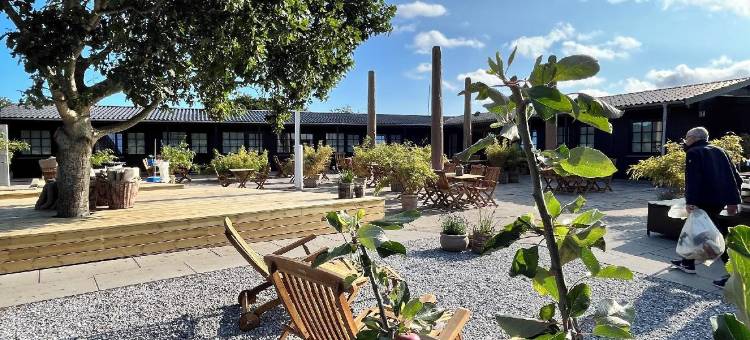 客房Læsø(GuestHouse Læsø)图片