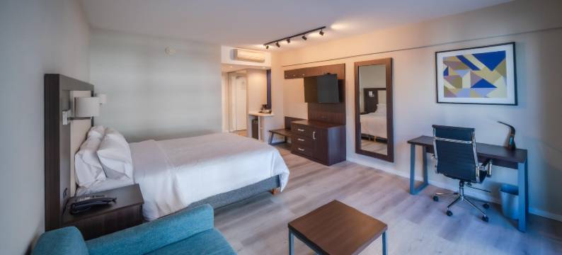 Holiday Inn Express 罗萨里奥(Holiday Inn Express ROSARIO by IHG)图片