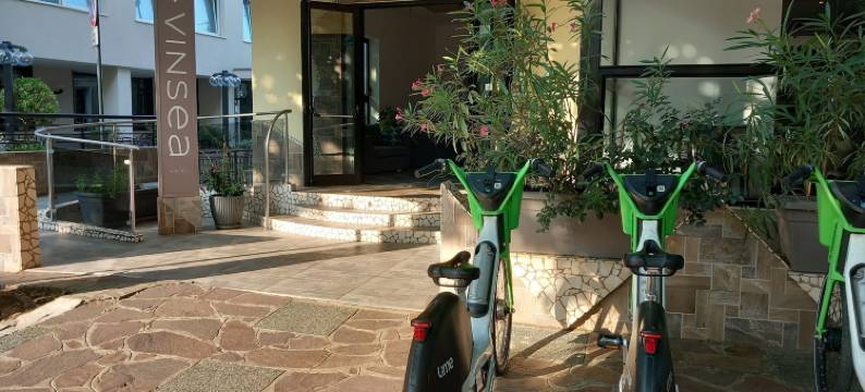 Vinsea酒店(Vinsea Hotel)图片