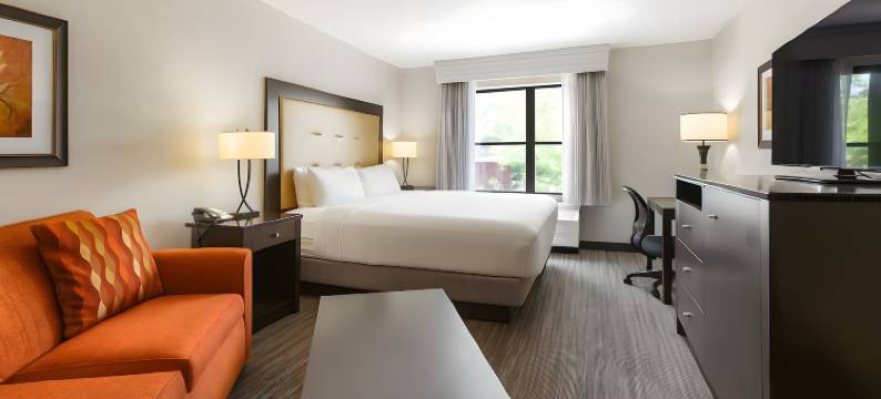 布兰森山坡酒店(The Branson Hillside Hotel)图片