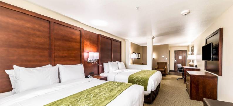 大草原城阿灵顿北部舒适套房酒店(Comfort Suites Grand Prairie - Arlington North)图片