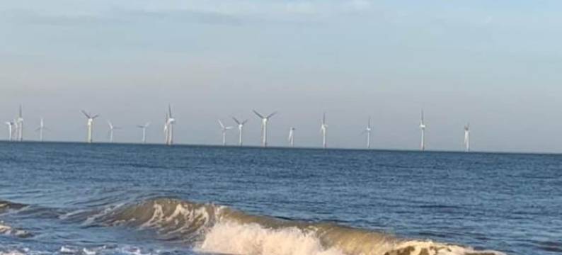 OYO双棕榈宾馆(OYO Twins Palms Guest House)图片