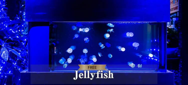 川崎东名高速交流道Hotel BaliAn Resort(Hotel BaliAn Resort Tomei Kawasaki I.C.)图片