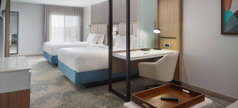 洛克斯特格罗夫SpringHill Suites酒店(SpringHill Suites by Marriott Locust Grove)图片